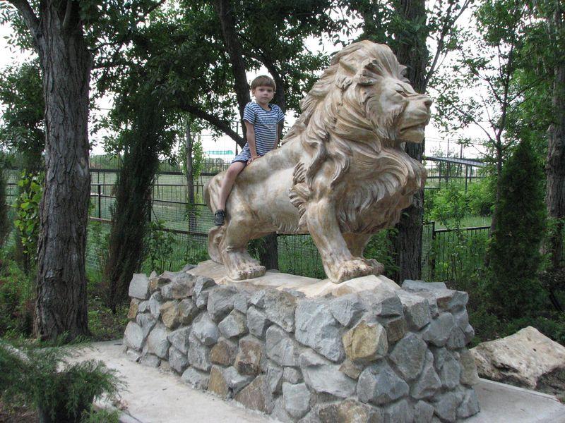 005 Savka na skulpture lva v Safari-parke tajgan on zhe Park  lvov