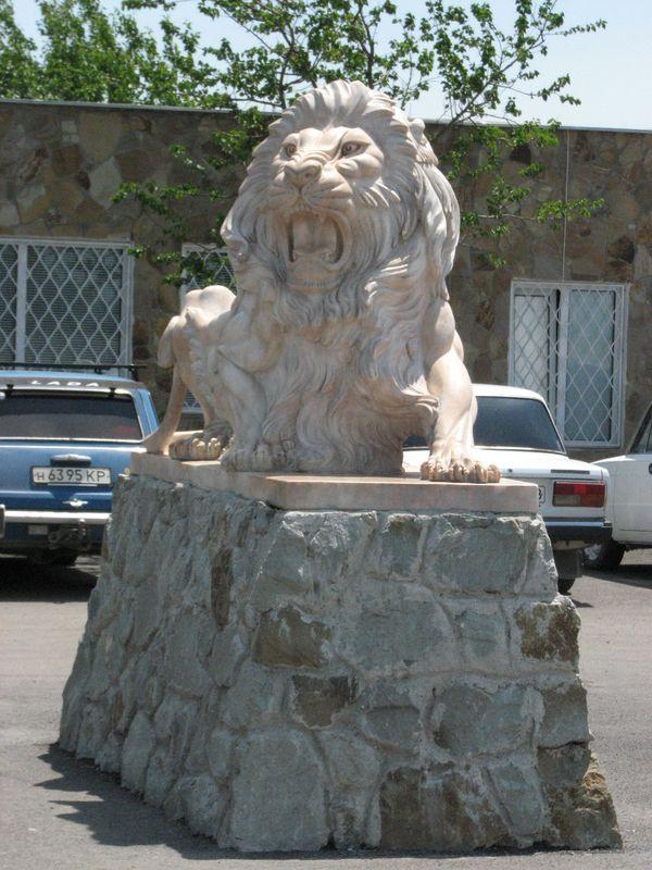 008 Lev u vhoda v Safari-park Tajgan on zhe Park lvov 1