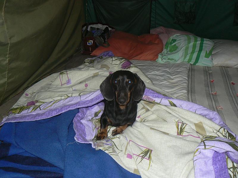 Егорка в палатке в Батилимане.jpg