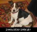 IMG 2605[1]